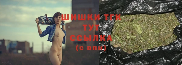 PSILOCYBIN Елабуга