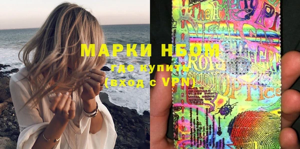 ПСИЛОЦИБИНОВЫЕ ГРИБЫ Дмитриев