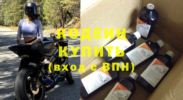 ПСИЛОЦИБИНОВЫЕ ГРИБЫ Дмитриев