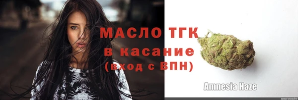 ПСИЛОЦИБИНОВЫЕ ГРИБЫ Дмитриев