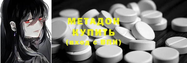 ПСИЛОЦИБИНОВЫЕ ГРИБЫ Дмитриев