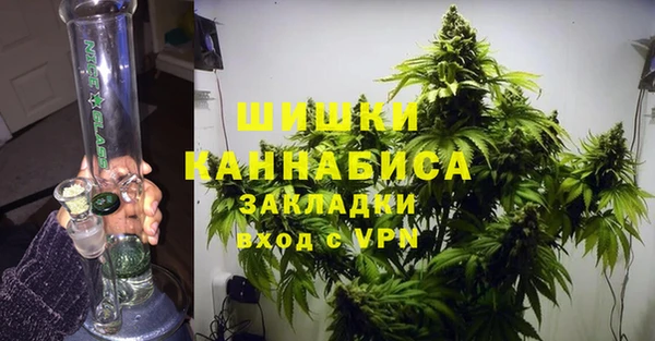 PSILOCYBIN Ельня