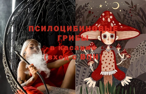 бошки Дмитровск