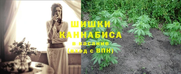 ПСИЛОЦИБИНОВЫЕ ГРИБЫ Дмитриев