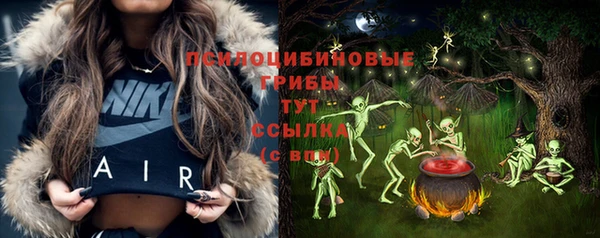 бошки Дмитровск
