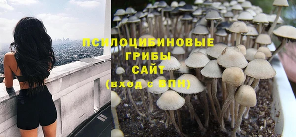 бошки Дмитровск