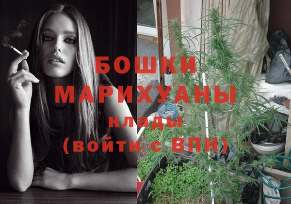 PSILOCYBIN Ельня