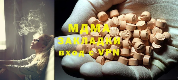 ПСИЛОЦИБИНОВЫЕ ГРИБЫ Дмитриев