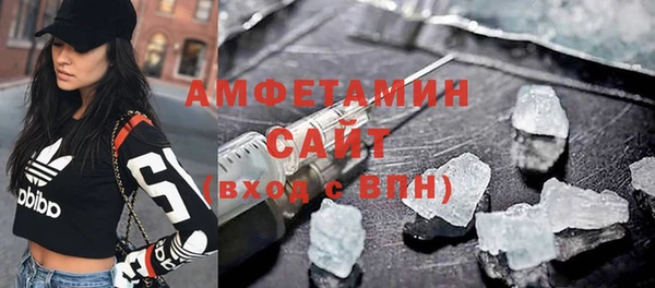 ПСИЛОЦИБИНОВЫЕ ГРИБЫ Дмитриев