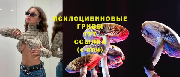 ПСИЛОЦИБИНОВЫЕ ГРИБЫ Дмитриев