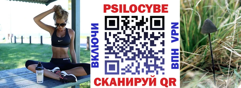 наркотики  MEGA сайт  Псилоцибиновые грибы Cubensis  Ефремов 